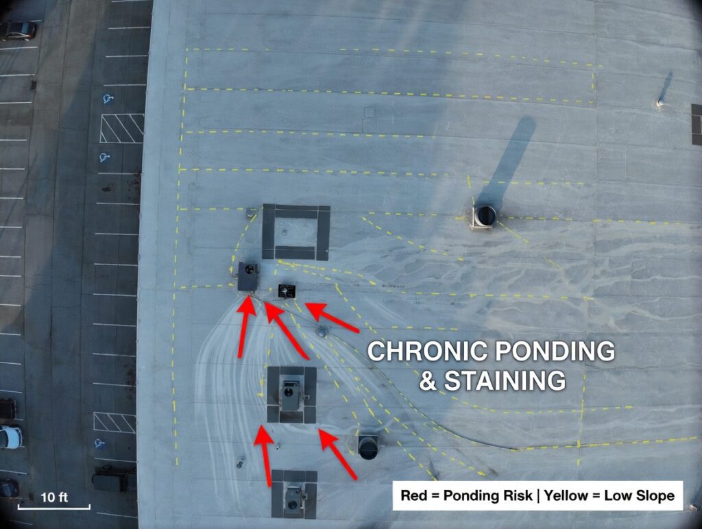 DJI_20250404080416_0016_V_annotated