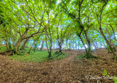 Nā Pali Coast State Wilderness Park