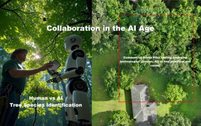 AI vs Arborist – Tree Species Identification